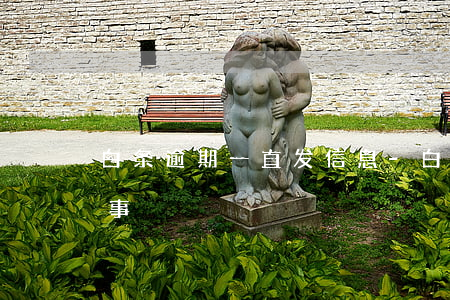 白条逾期一直发信息-白条逾期一天有没有事