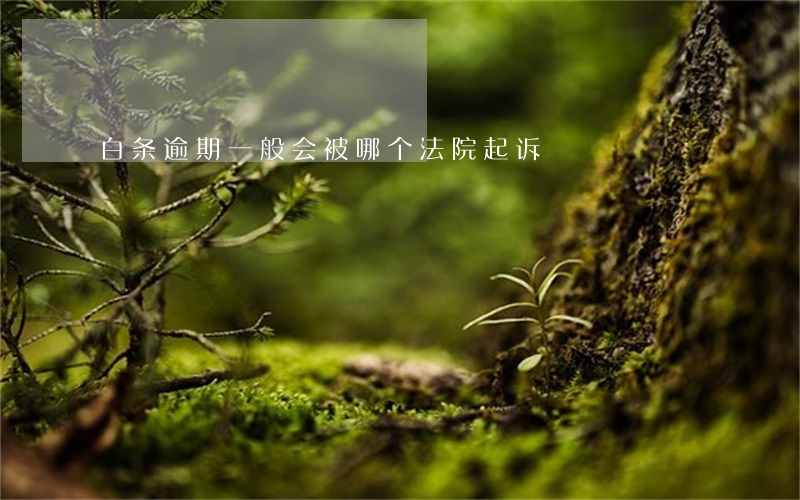 白条逾期一般会被哪个法院起诉