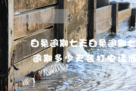 白条逾期七天 白条逾期七天要求全部还白条逾期多少天会打电话催还款
