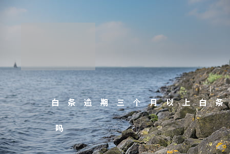 白条逾期三个月以上(白条逾期两个星期严重吗)