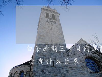 白条逾期三个月内还款(白条逾期半个月还款会有什么后果)