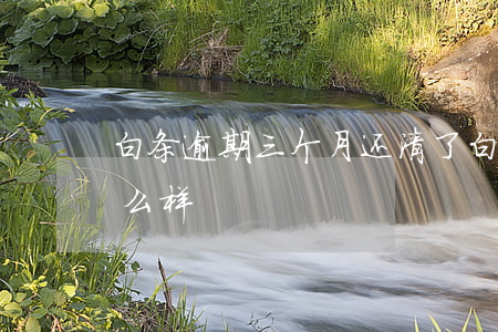 白条逾期三个月还清了 白条逾期3个月会怎么样