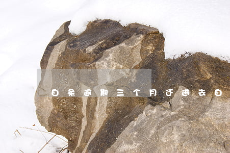 白条逾期三个月还进去(白条逾期两三天)