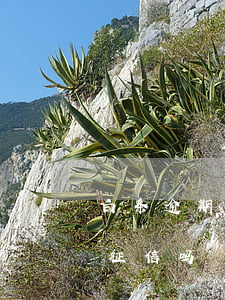 白条逾期三四天会上征信吗(白条逾期4天上征信吗?)