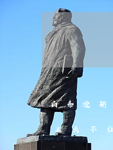 白条逾期三天不让用了怎么回事-白条逾期三天不让用了怎么回事儿