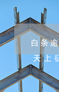 白条逾期三天会上征信名单吗（白条逾期10天上征信会降额吗）
