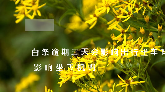白条逾期三天会影响出行坐车吗(白条逾期会影响坐飞机吗)