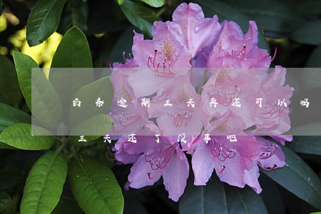 白条逾期三天再还可以吗(白条逾期了两天第三天还了没事吧)