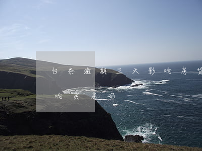 白条逾期三天影响房贷吗(白条逾期一次会影响买房吗)