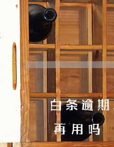 白条逾期三天还能再用吗(白条逾期三天还能再用吗)
