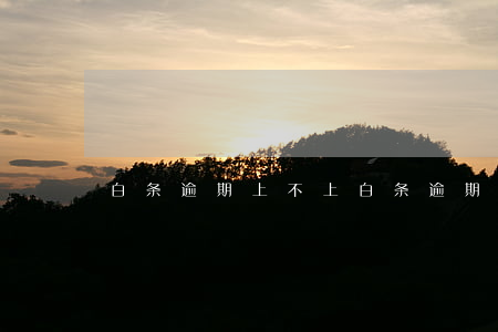 白条逾期上不上(白条逾期上不上)