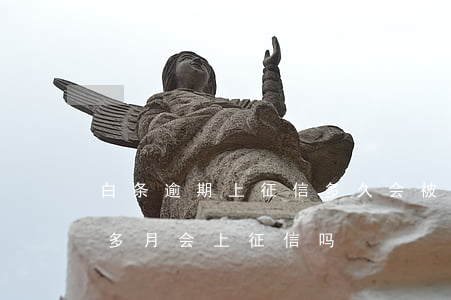 白条逾期上征信多久会被冻结 白条逾期一个多月会上征信吗