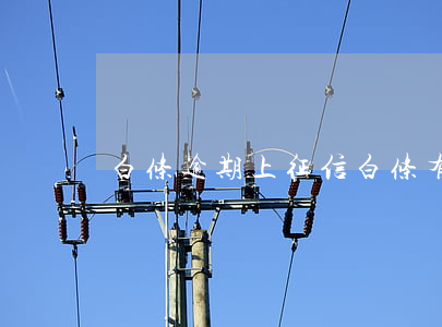 白条逾期上征信（白条有过逾期记录）