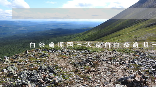 白条逾期两三天（京白白条逾期三个月会怎样）