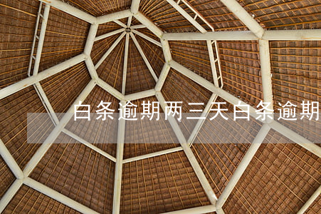 白条逾期两三天(白条逾期一个星期)