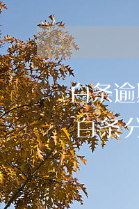 白条逾期两个月后要我把全部分期的全还了（白条分期后逾期一个月）