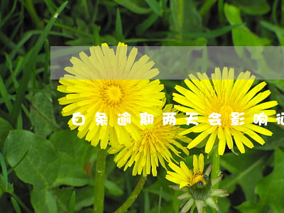 白条逾期两天会影响征信么