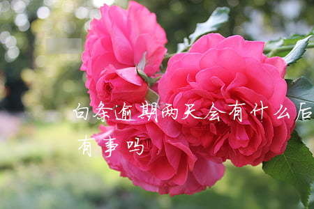 白条逾期两天会有什么后果 白条逾期几天会有事吗