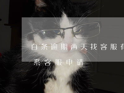 白条逾期两天找客服有用吗（白条逾期可以联系客服申请）
