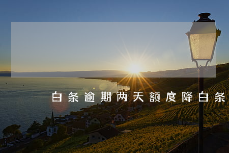 白条逾期两天额度降(白条逾期两三天)