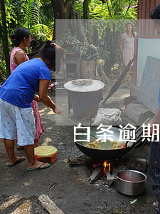 白条逾期两小时还款(白条逾期两小时)
