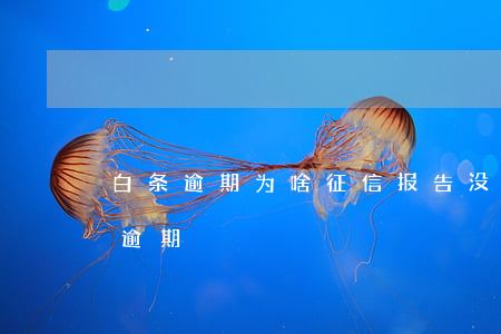 白条逾期为啥征信报告没有（征信报告有白条逾期）