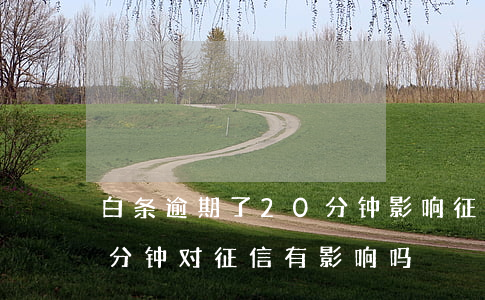 白条逾期了20分钟影响征信吗 白条逾期几分钟对征信有影响吗