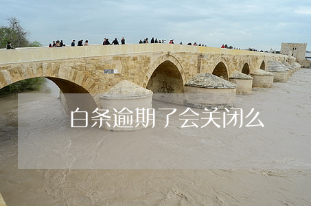 白条逾期了会关闭么