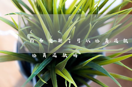 白条逾期了可以协商还款吗(白条逾期了可以协商还款吗)
