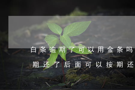 白条逾期了可以用金条吗 金条白条逾期把逾期还了后面可以按期还吗