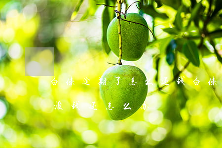 白条逾期了怎么还钱(白条逾期需要一次还清没钱还怎么办)