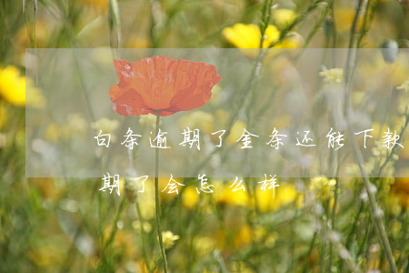 白条逾期了金条还能下款吗 京东白条金条逾期了会怎么样?