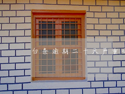 白条逾期二十天严重吗(白条逾期十天有事吗)