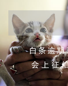 白条逾期五天后还了上征信吗(白条逾期五天会上征信吗2020)