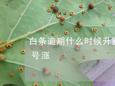 白条逾期什么时候升额度(白条额度每个月几号涨)