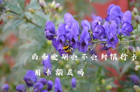 白条逾期会不会封银行卡(白条逾期会影响信用卡额度吗)