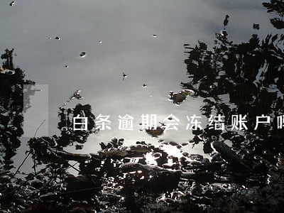 白条逾期会冻结账户吗-没有逾期白条冻结