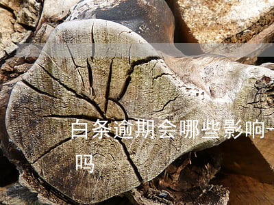 白条逾期会哪些影响-白条逾期贷款有影响吗