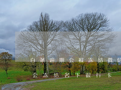 白条逾期会被冻结微信账户吗(白条逾期会不会冻结名下银行卡)