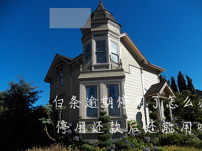 白条逾期停用了怎么办(白条逾期一个星期被停用还款后还能用吗)