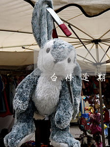 白条逾期催收流程（白条逾期催款流程）