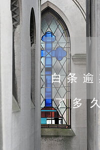 白条逾期几个小时会上征信吗（白条分期逾期了多久上征信）