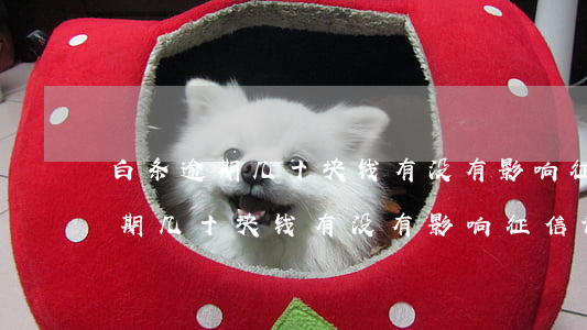 白条逾期几十块钱有没有影响征信-白条逾期几十块钱有没有影响征信记录