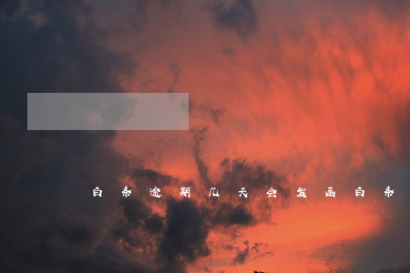 白条逾期几天会发函(白条逾期多久会打电话)