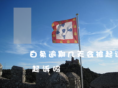 白条逾期几天会被起诉吗(白条逾期几天会被起诉吗)