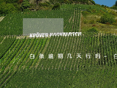 白条逾期几天行吗-白条逾期几个月
