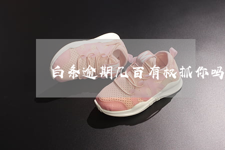 白条逾期几百有权抓你吗 白条逾期100天