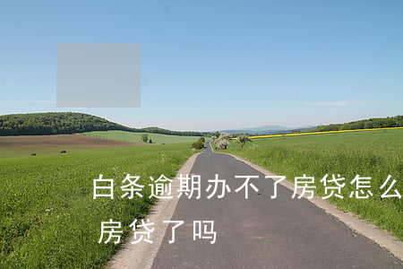 白条逾期办不了房贷怎么办(用过白条就不能房贷了吗)