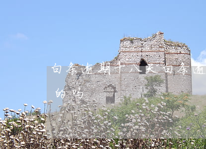 白条逾期十八天(白条逾期有逾期16天还款的吗)