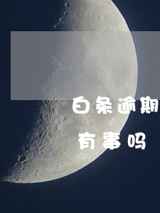 白条逾期十天说下发相关文件(白条逾期十天有事吗)